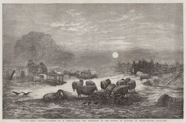 水色画家協会展からの冬、羊の餌やり